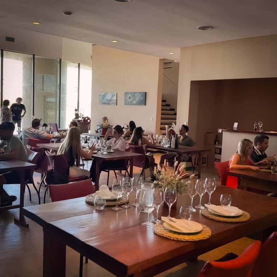Tour of 3 wineries in Maipú with lunch + olive groves - Esencia 1870 Lunch: Wine Pairing and Mendoza Alfajores
