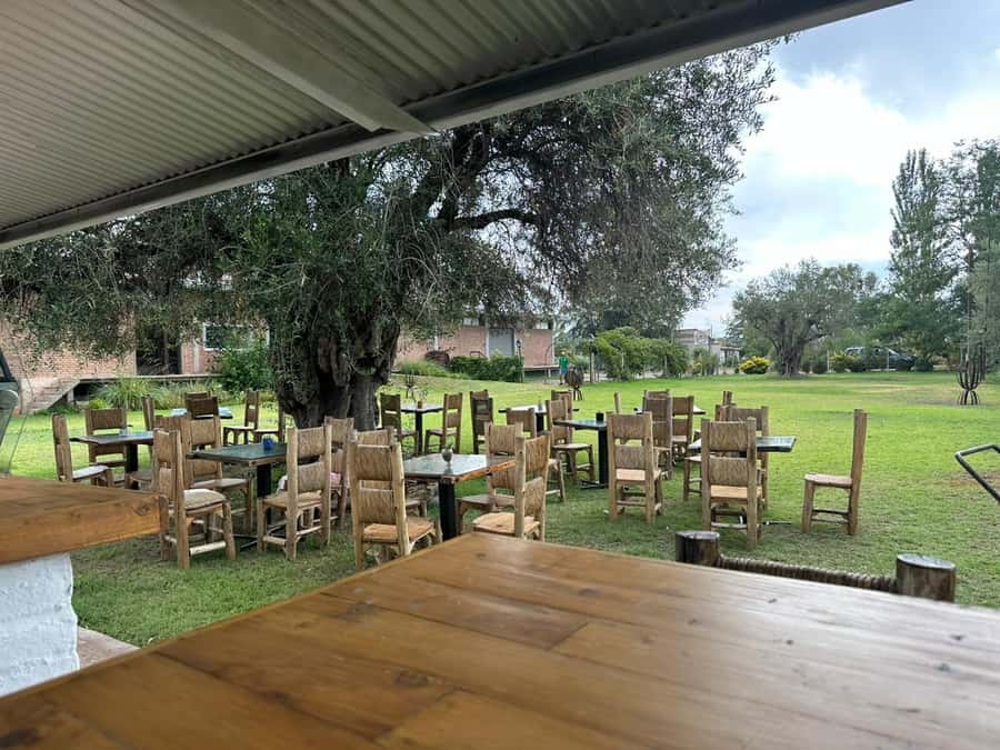 Tour of 3 wineries in Maipú with lunch + olive groves - Practical Tips Before You Go (So the Day Feels Smooth)
