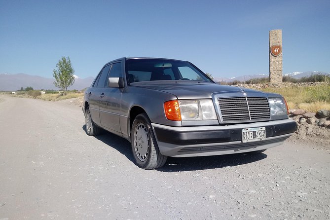 Transportation around Mendoza or others states!!! Trips.. transfers - Punctual, calm driving, and why it changes your tasting experience