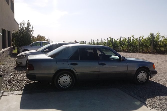 Transportation around Mendoza or others states!!! Trips.. transfers - Building your own wine route in Lujan de Cuyo and beyond