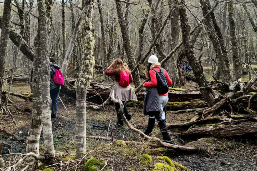 Trekking to Emerald Lagoon - Who should book this Emerald Lagoon hike?