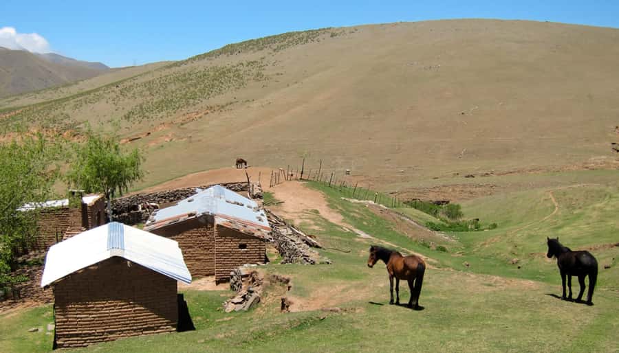Tucumán: Tafí del Valle Full Day Tour - Key highlights you’ll feel in your day