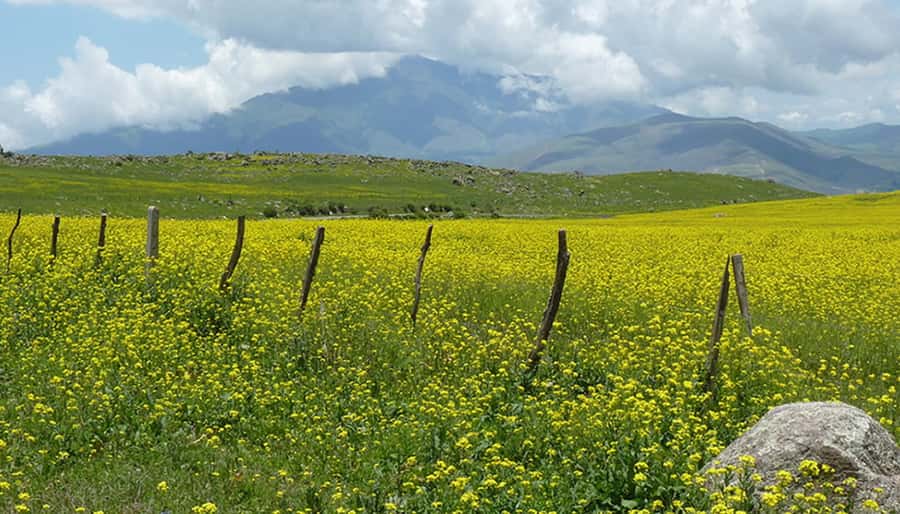 Tucumán: Tafí del Valle Full Day Tour - The guide factor: Spanish explanations can change the whole day
