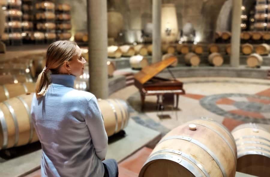 Uco Valley, Mendoza: One-Day Private Wine Tour Experience - The photo stop with sparkling wine, plus how to get the shots you want