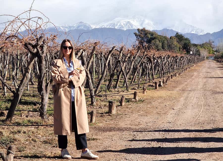 Uco Valley, Mendoza: One-Day Private Wine Tour Experience - Lunch in Uco Valley: empanadas and steak, with a modern twist