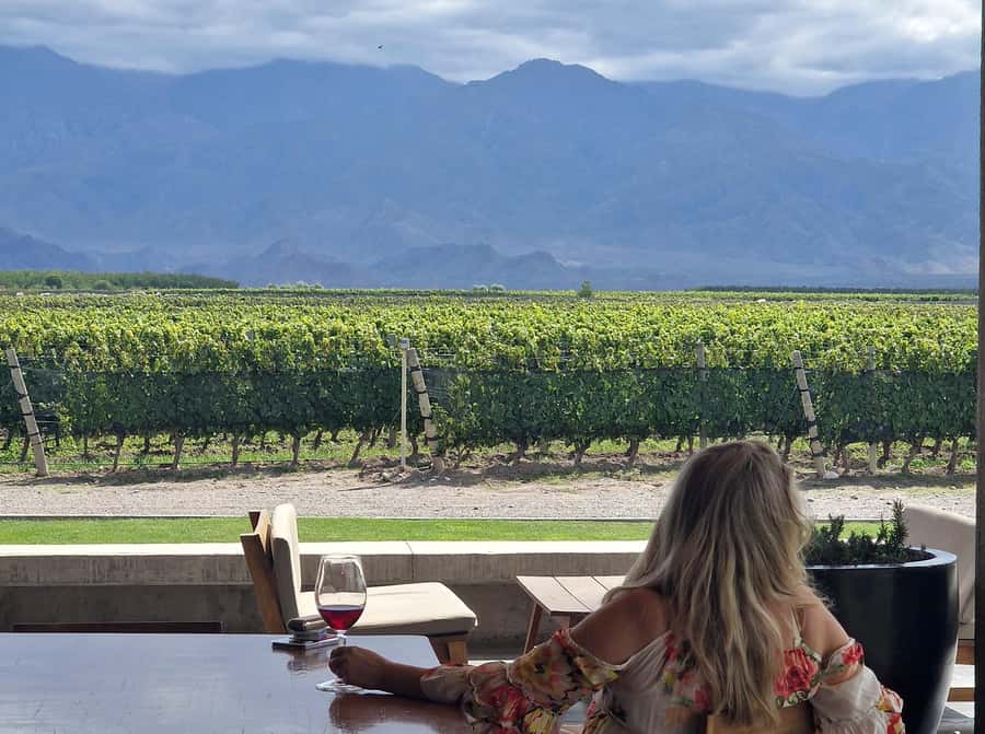 Uco Valley, Mendoza: One-Day Private Wine Tour Experience - Photo planning for Andes views, plus what to bring for a nine-hour day