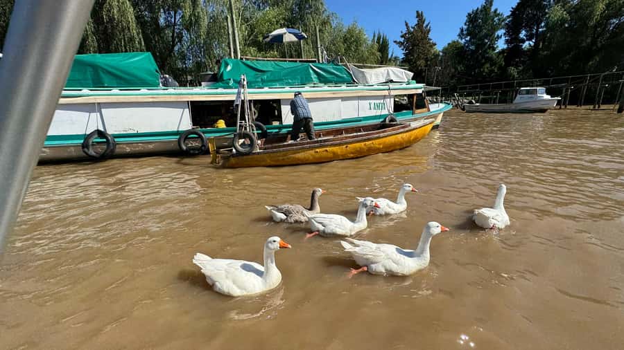 Unique Tigre and Delta Private Day Cruise Navegation - Key points worth knowing before you go
