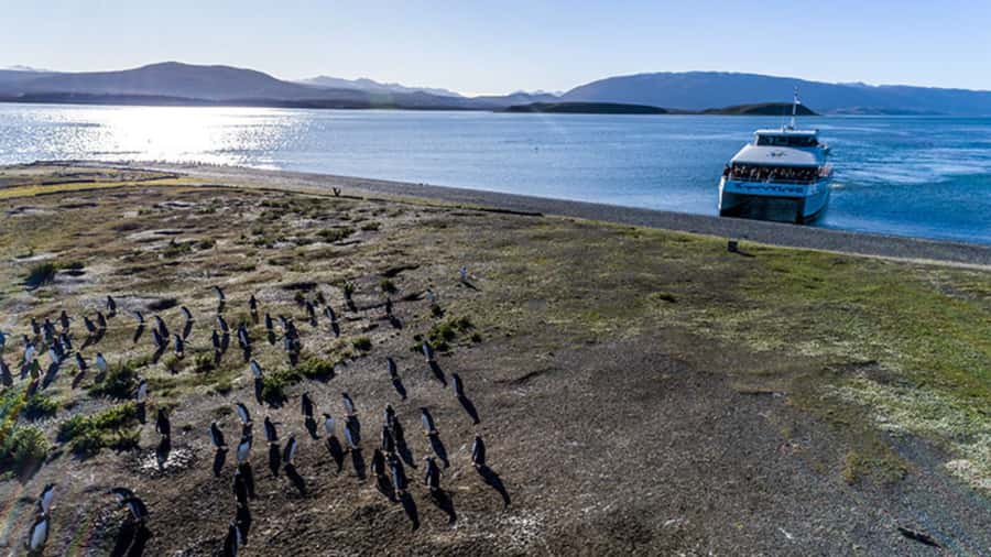 Ushuaia: Beagle Channel and Penguin Island - Price and value: is $178 a good deal for this route?