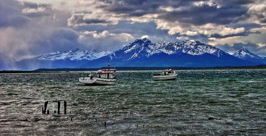 Ushuaia: Beagle Channel Boat Tour and Penguin Experience - Beagle Channel boat time: sea lions, birds, and Les Éclaireurs Lighthouse