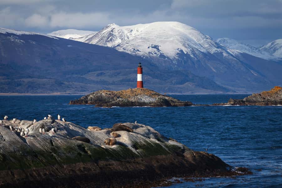 Ushuaia: Beagle Channel Boat Tour and Penguin Experience - Two possible ways the day is organized, and why it matters