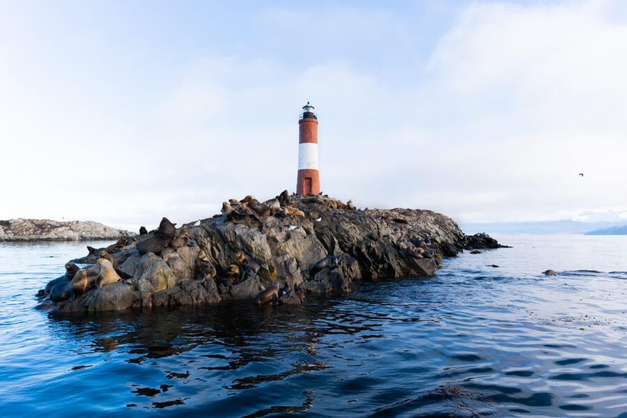 Ushuaia: Beagle Channel Catamaran Tour - Price and value: is $78 a good deal for 150 minutes?