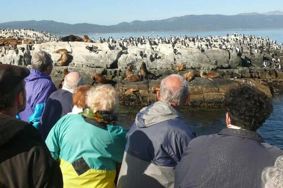 Ushuaia: Beagle Channel Penguin Colony Tour - Getting started at Canoero Catamaranes, and how to plan your timing