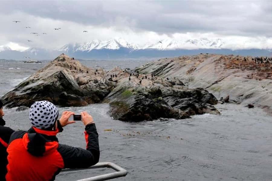 Ushuaia: Beagle Channel Penguin Colony Tour - Isla de los Pájaros: where Fuegian birdlife becomes the main event