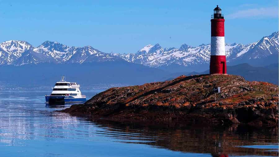 Ushuaia: Beagle Channel Penguin Colony Tour - Comfort, language, and what the live guide adds