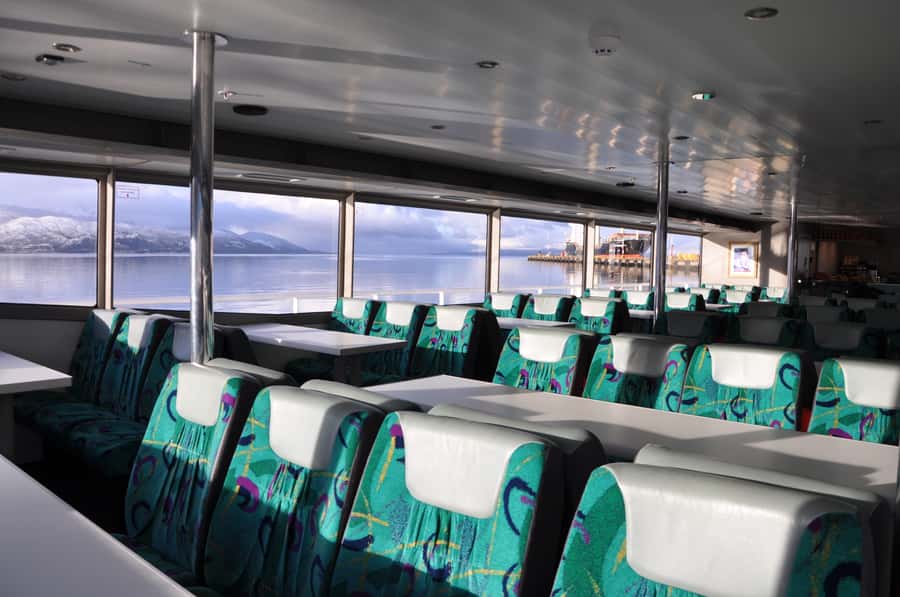 Ushuaia: Beagle Channel & Sea Wolves Island Catamaran Cruise - When this tour fits best, and when to choose differently