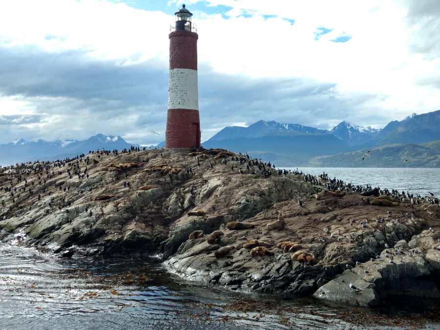 Ushuaia: Beagle Channel & Sea Wolves Island Catamaran Cruise - The return leg: mountain views and a last wildlife look