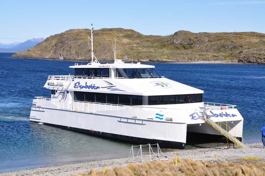 Ushuaia: Beagle Channel & Sea Wolves Island Catamaran Cruise - Boat comfort, onboard setup, and photo-friendly design