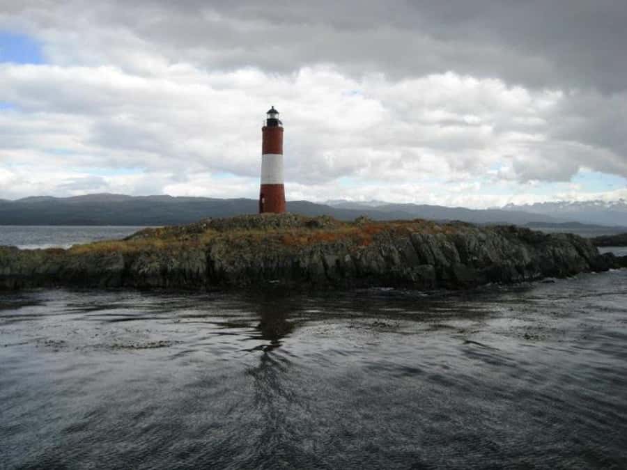 Ushuaia: Beagle Channel, Seal Island & Bridges Islands Tour - Los Lobos and Seal Island zones: sea lions in their habitat