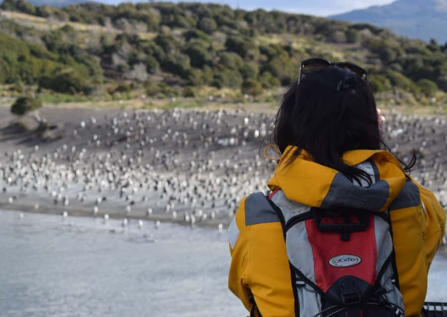 Ushuaia: Catamaran Sailing to Penguin Island - Les Eclaireurs Lighthouse and the Mount Cervantes Wreck Story
