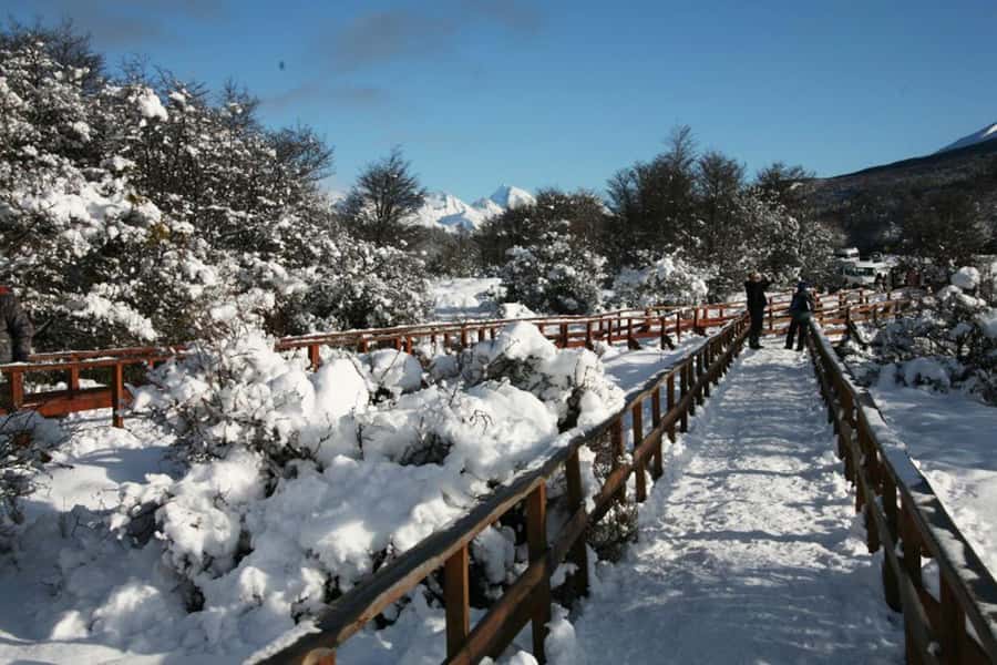 Ushuaia: End of the World Train Ride & Tierra del Fuego Park - Timing and value: does $140 make sense for your style?