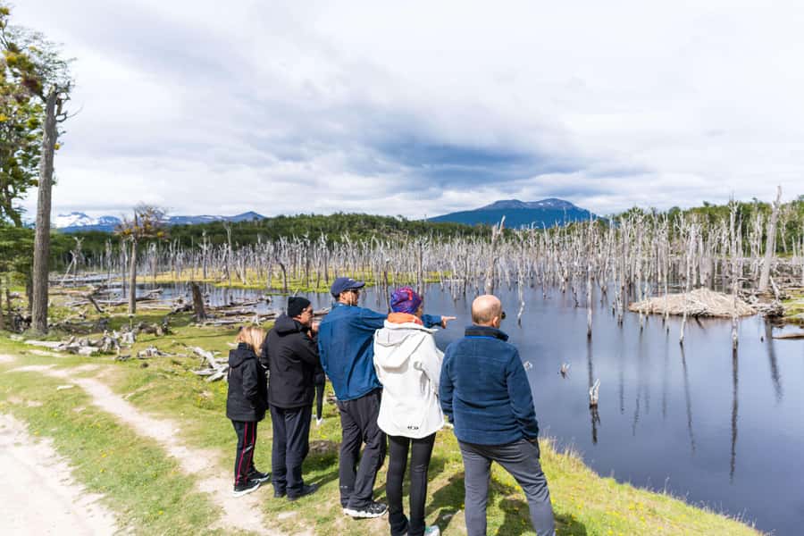 Ushuaia: Escondido & Fagnano Lakes Tour AM - Fagnano Lake (Khami Lake): the big water moment, plus coffee at a historic house