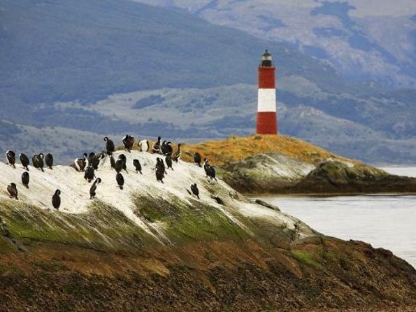 Ushuaia: Martillo Island and Walk Among Penguins Full-Day Tour - Key Things That Make This Tour Worth Your Time