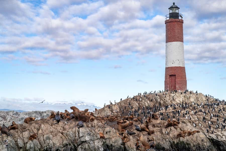 USHUAIA | Navigation: Sea Lions, Birds and Lighthouse - Price and value: does $108 make sense for 3 hours on the water?
