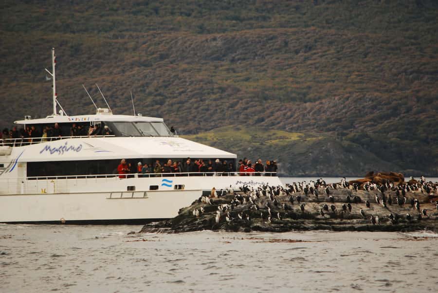 Ushuaia: Penguin Watching Tour by Catamaran - Key things you’ll notice on this Ushuaia penguin catamaran