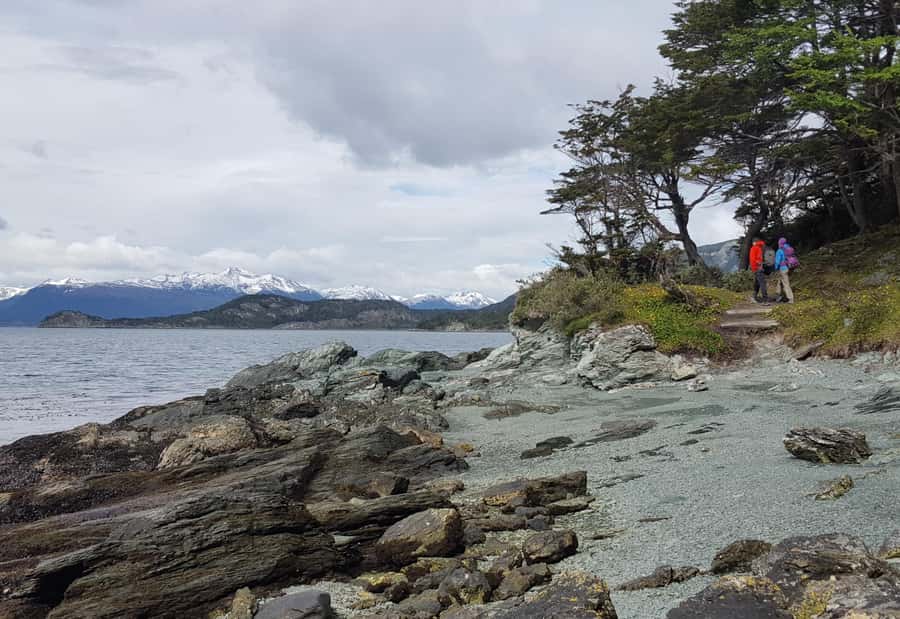 Ushuaia: Private Tour Tierra del Fuego National Park - Lapataia Bay and the end of Route 3
