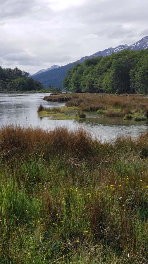 Ushuaia: Private Tour Tierra del Fuego National Park - Zaratiegui Bay: sub-Antarctic forest and coast-walk options