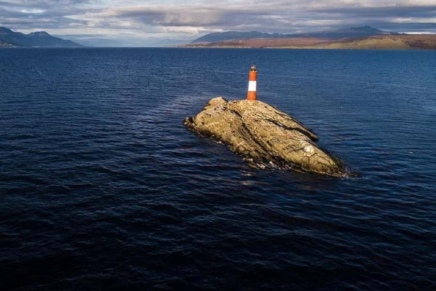 Ushuaia: Sailing Beagle Channel to the Penguin Colony - Photo staff and crowd pressure: manage your space