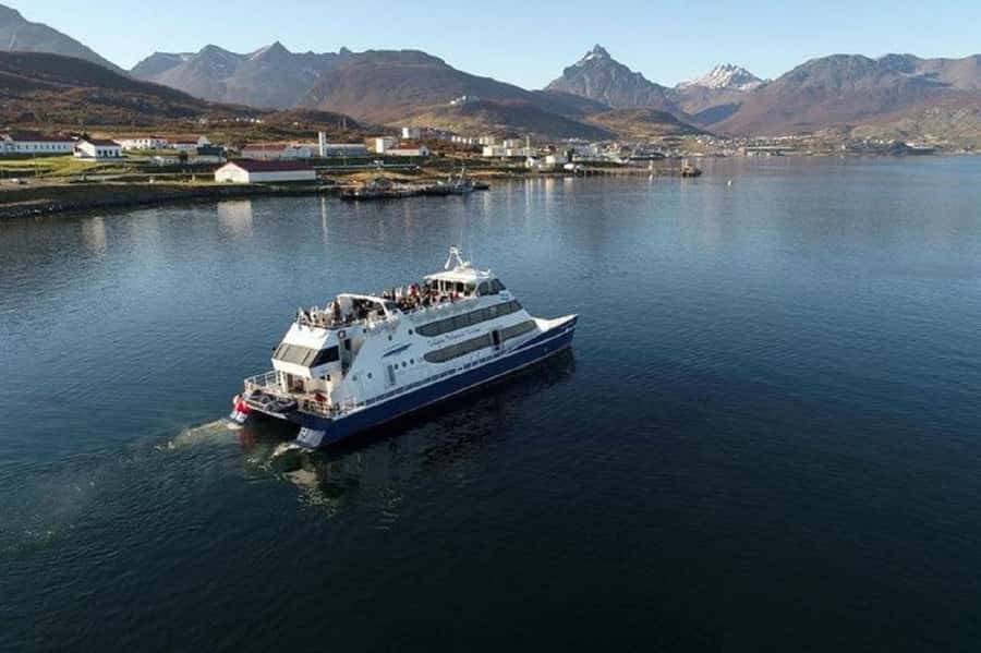 Ushuaia: Sailing Beagle Channel to the Penguin Colony - Bird Island: seabirds and the fun of not overplanning