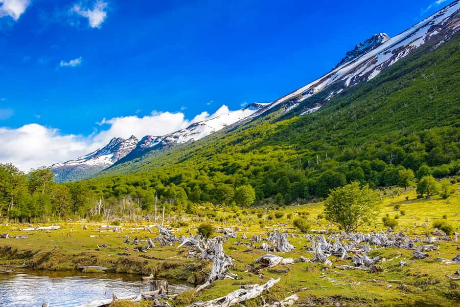 Ushuaia: Shared Experience "Tierra del Fuego" National Park - Key highlights you will actually remember