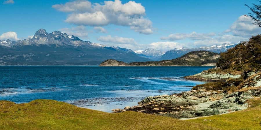 Ushuaia: Shared Experience "Tierra del Fuego" National Park - Ensenada Zaratiegui: native trees and the sub-antarctic feel in plain view