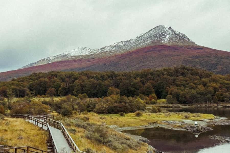 Ushuaia: Shared Experience "Tierra del Fuego" National Park - Bahia Lapataia peat bogs and beaver dams you can spot