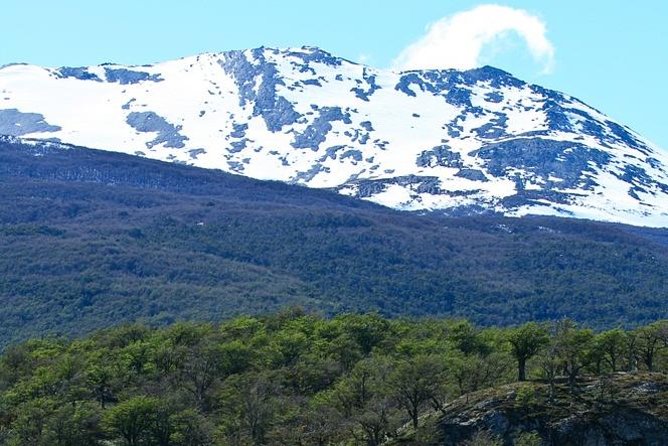 Ushuaia Shore Excursion: Private Tour of Tierra del Fuego National Park - From Ushuaia Port to Tierra del Fuego, with the Beagle Channel in your rearview