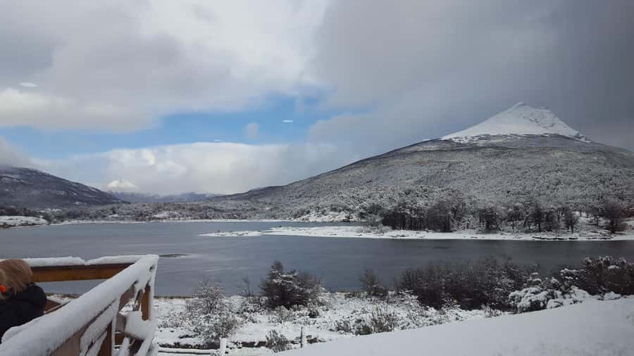 Ushuaia: Tierra del Fuego National Park - Cost and value: what $45 covers, and what to budget for