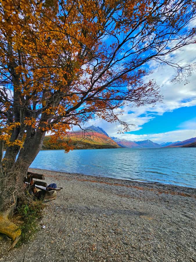Ushuaia: Tierra del Fuego National Park - Who this tour fits, and who should skip it