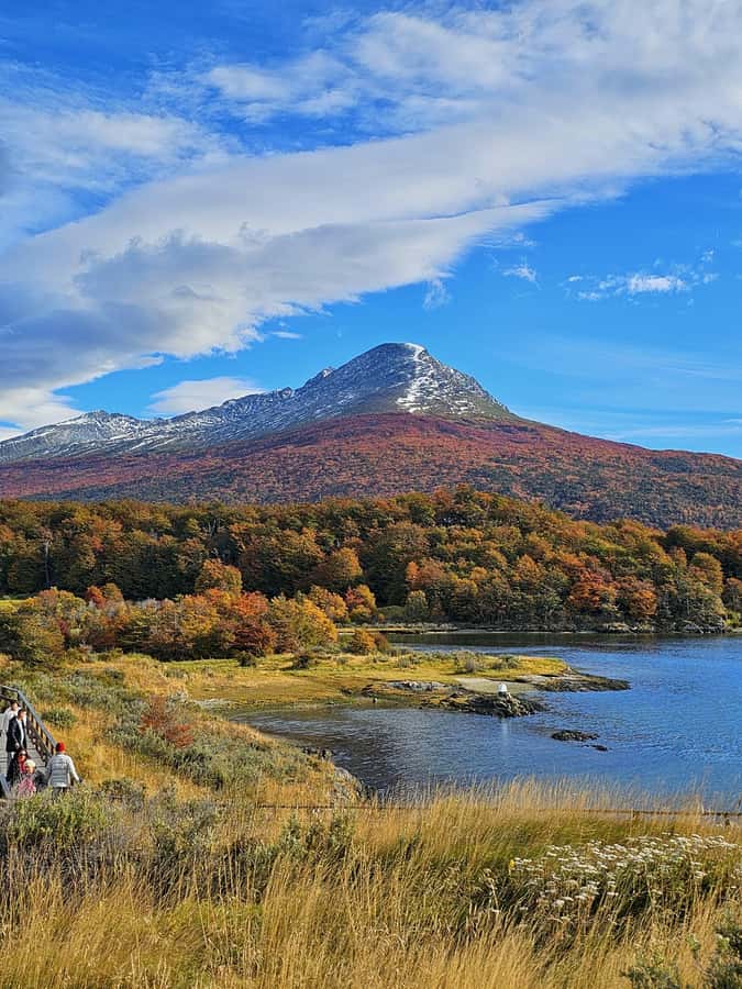 Ushuaia: Tierra del Fuego National Park - Should you book this Ushuaia Tierra del Fuego park shore excursion?
