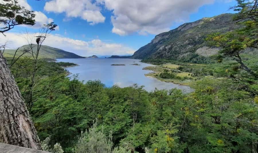 Ushuaia: Tierra del Fuego National Park Half-Day Tour - Who Should Book This Tour (And Who Might Skip It)