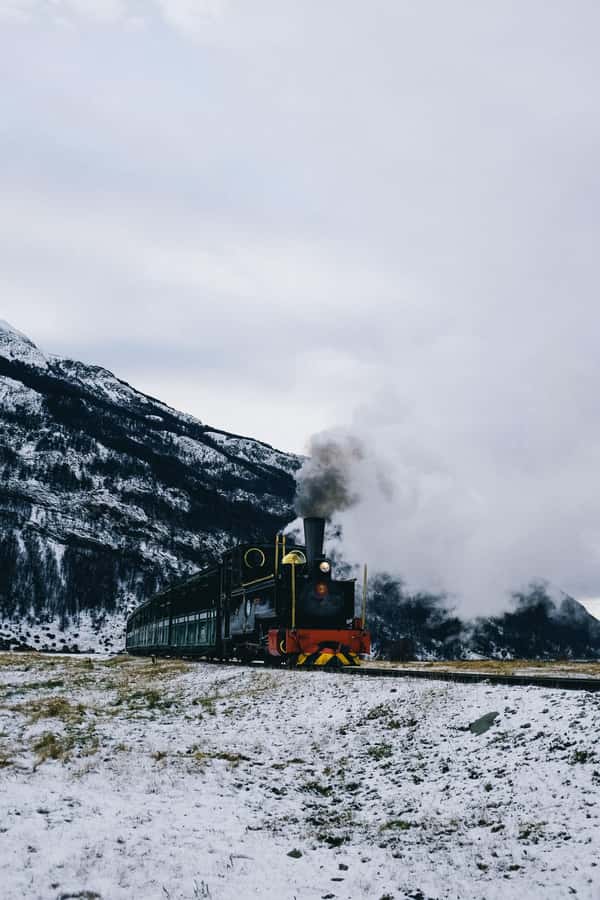 USHUAIA | Tierra del Fuego National Park & Optional Train - Ensenada Bay: the postcard stop that feels oddly personal