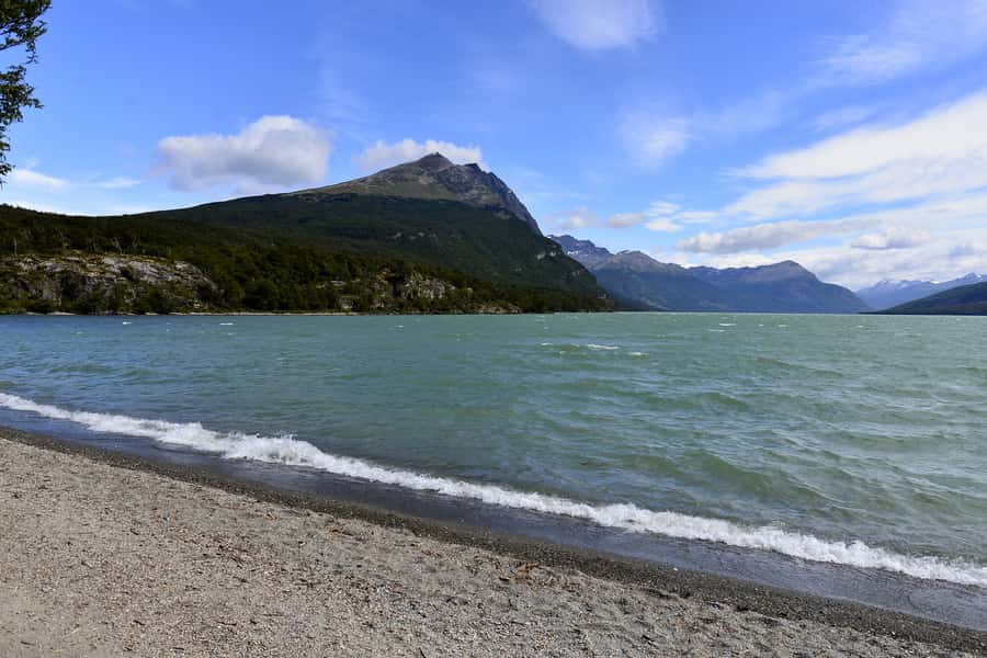 Ushuaia: Tierra del Fuego National Park Shore Excursion - Key highlights worth your attention