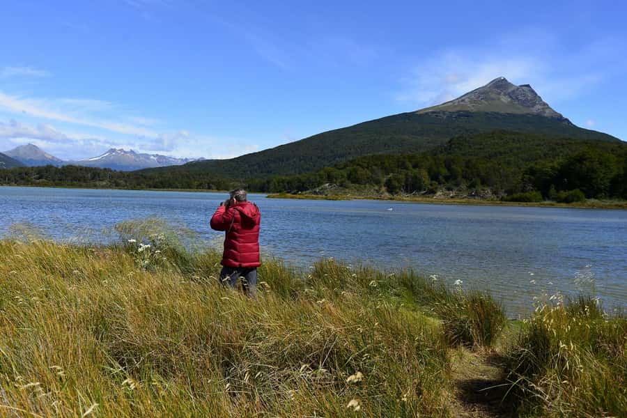 Ushuaia: Tierra del Fuego National Park Shore Excursion - Who should book this tour, and who should skip it