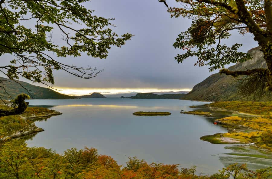 Ushuaia: Tierra del Fuego National Park Tour with Lunch - Hotel Pickup and the 8 AM Start You Actually Need