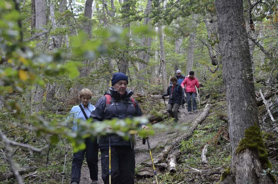 Ushuaia: Tierra del Fuego Trekking and Canoeing - Canoeing at Lapataia Bay: the freshwater-to-sea feeling you came for