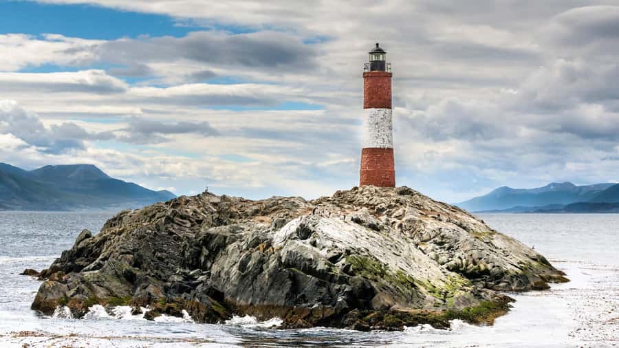 Ushuaia: Tour: Beagle Channel Navigation - Isla de los Pájaros: bird watching with a species checklist in your head