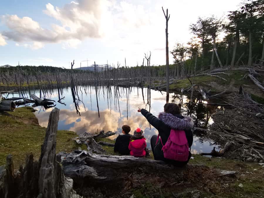 Ushuaia: Visit to Escondido and Fagnano Lakes PM - Paso Garibaldi: the Escondido Lake photo stop that hits hard