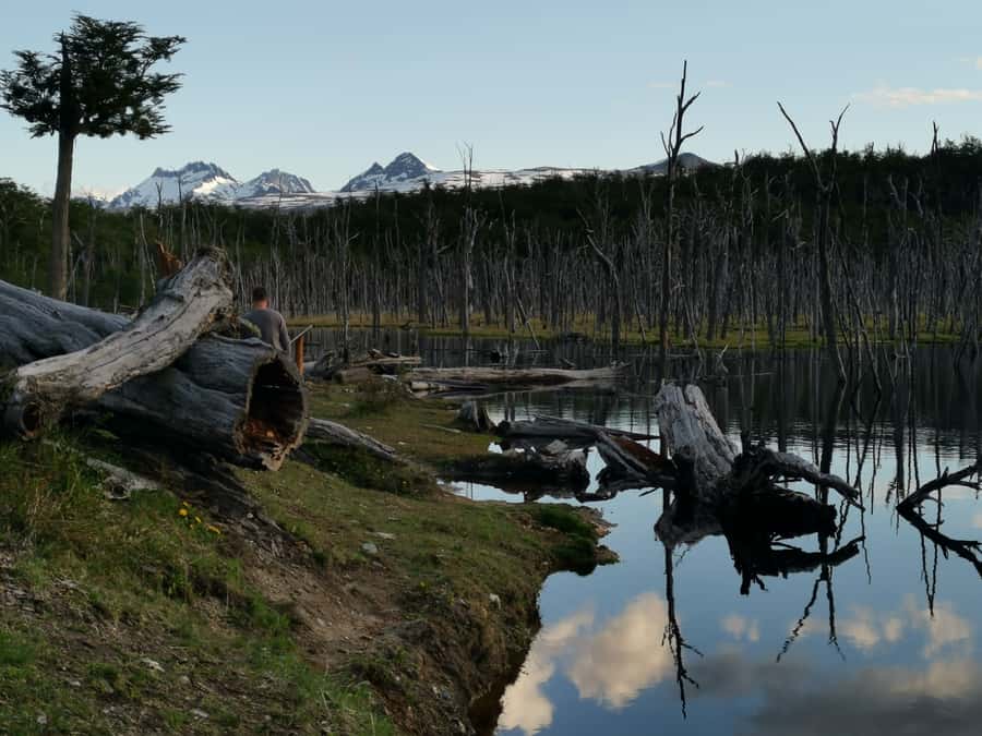 Ushuaia: Visit to Escondido and Fagnano Lakes PM - Cami Lake and the wilderness walk: where time stops feeling short