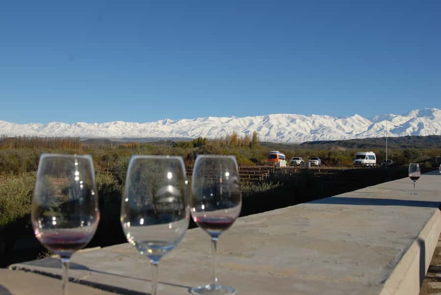 Valle de Uco: Private Full Day Wine Tour with 3-Course Lunch - Key points to know before you book
