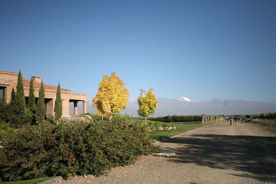 Valle de Uco: Private Full Day Wine Tour with 3-Course Lunch - Two guided tastings that actually teach you what to notice